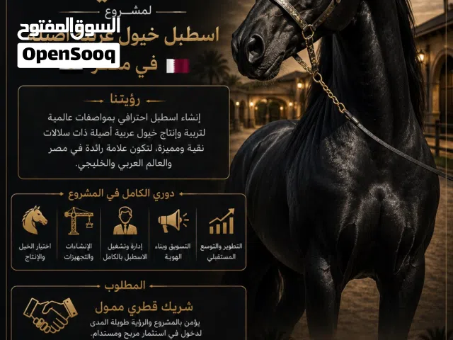 فرصة استثمارية في عالم الخيل العربية الأصيلة