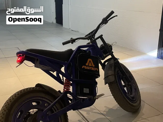 Aster e-bike