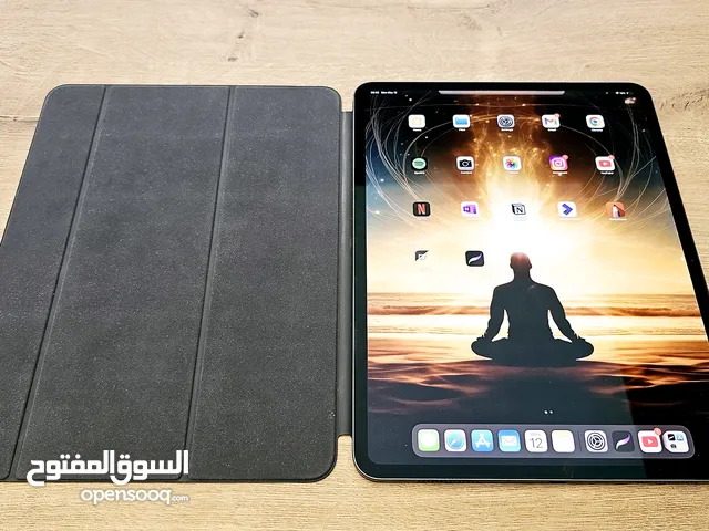 iPad Pro 13 M4 1TB