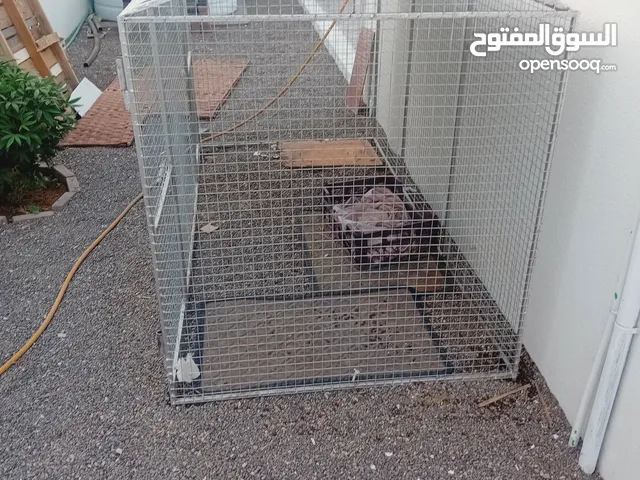 قفص حيوانات كبير مستعمل شهرين