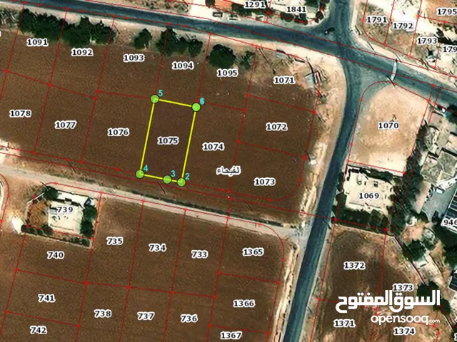 Residential Land for Sale in Madaba Al-Fayha'