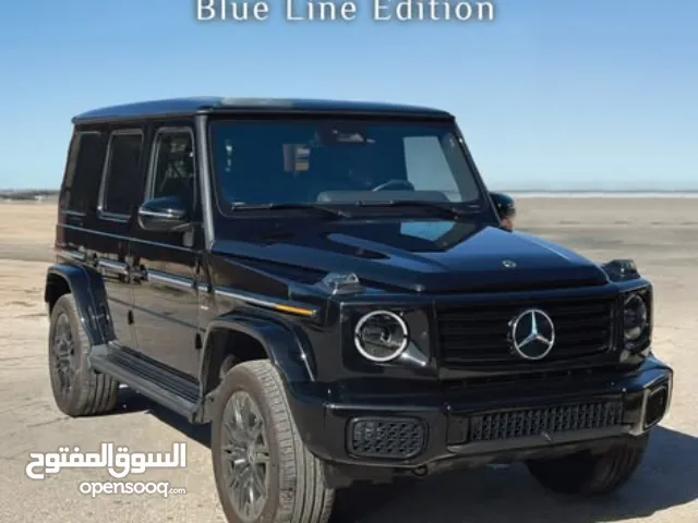 2025, Mercedes Benz, G-Class, G 500
