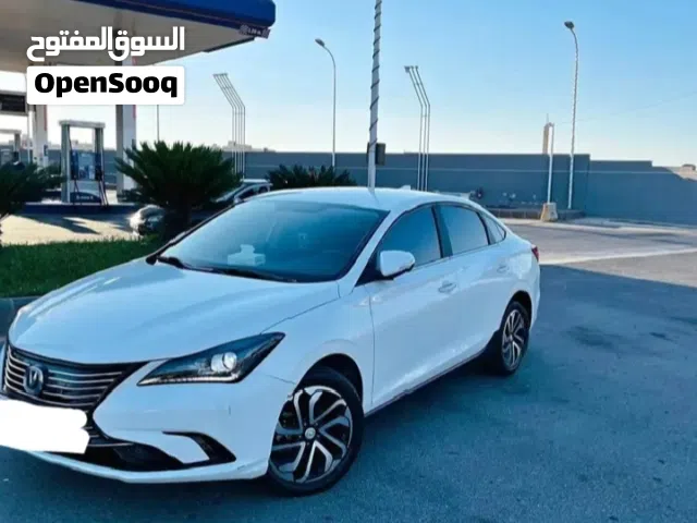 2020, شانجان, ايدو EV