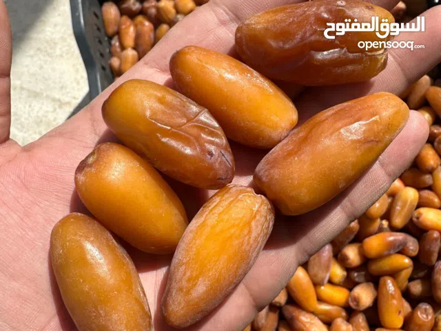 تمر دقله للبيع