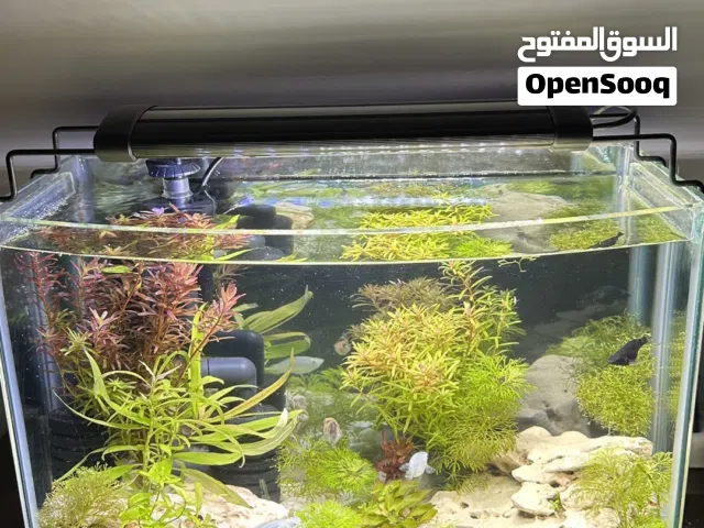 حوض سمك متكامل للبيع جاهز للتشغيل والإنتاج