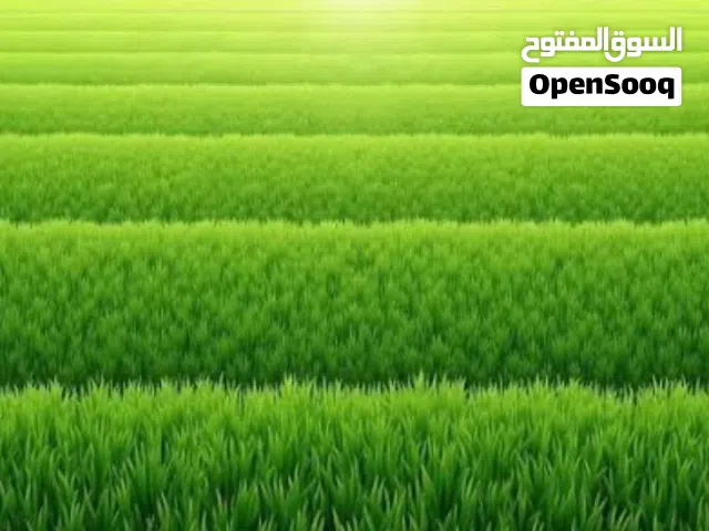 موقع مميز .ارض 5 دونم على  خط  السريع الدولي