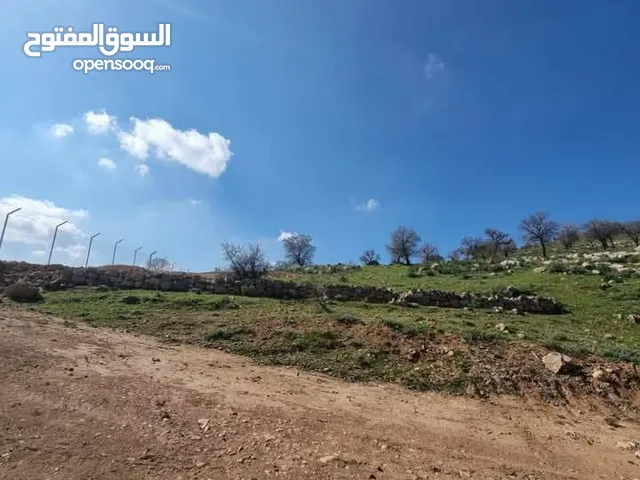 #ارض زراعية مميزة جدا مساحة 4 دونمات