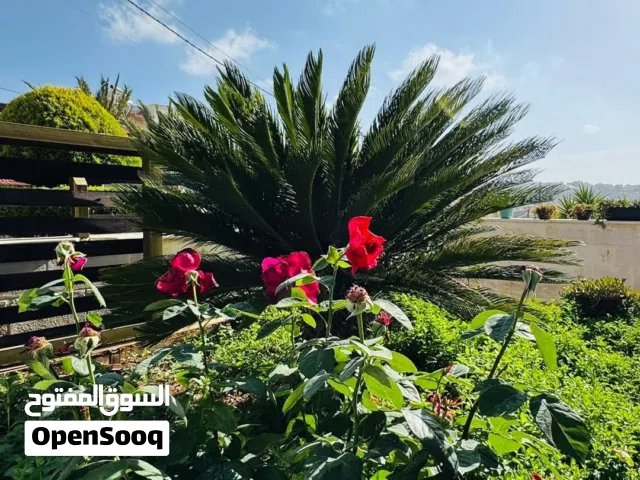 فيلا مميزه دوبليكس باطلاله للبيع في شفا بدران