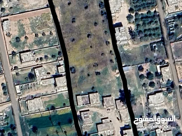 Farm Land for Sale in Jafara Other
