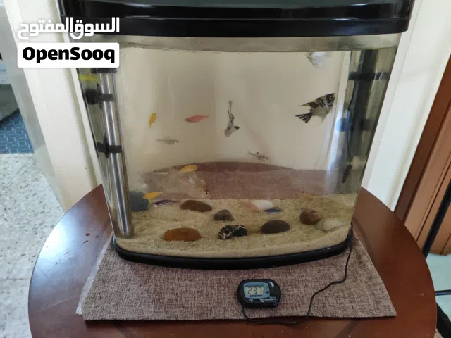 حوض سمك للبيع مع السمك يلي فيه(اقرأ الوصف رجاءا)