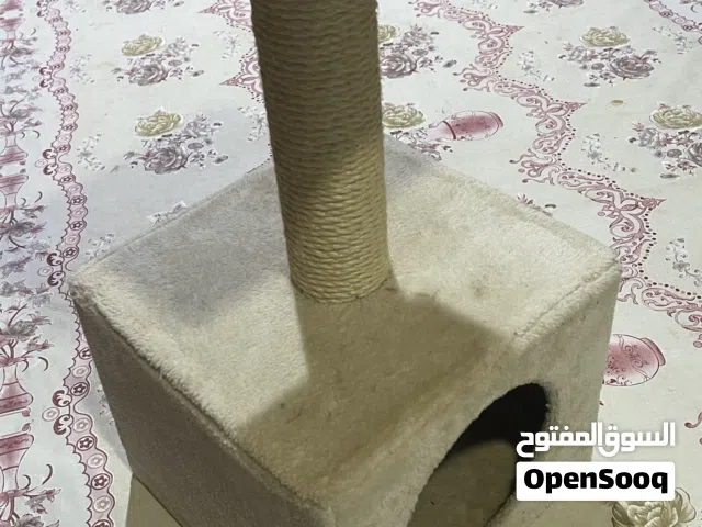 بيت لل قطط صغير مع بيت وعمود خدش – مستعمل
