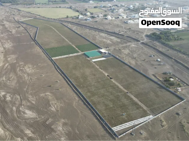 Farm Land for Sale in Kuwait City Khaldiya
