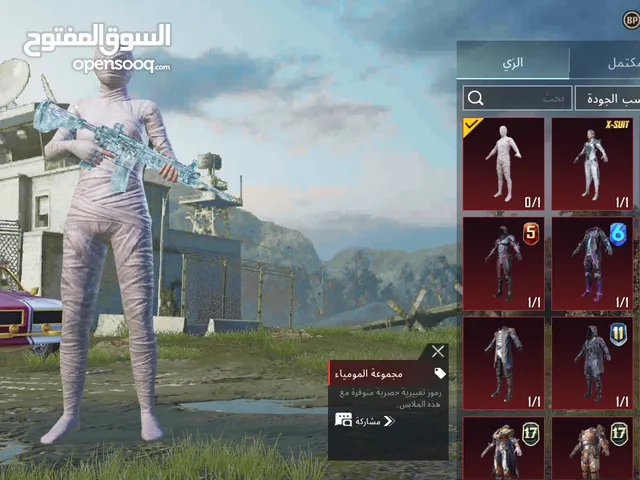 Pubg Accounts and Characters for Sale in Ramtha