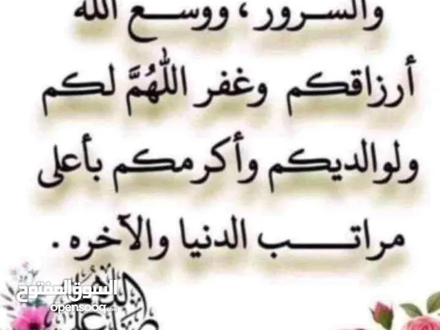 بيانتو كامل كيا وهونداي