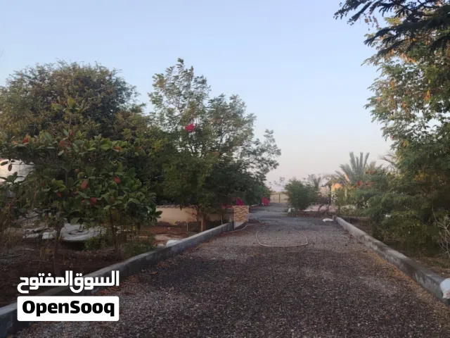 أرض زراعيه للاستثمار