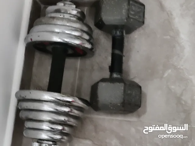 two dumbbells and bench press