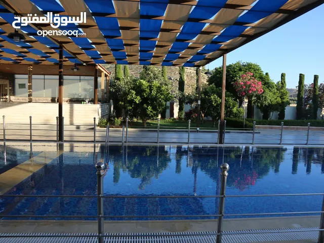 4 Bedrooms Chalet for Rent in Amman Naour