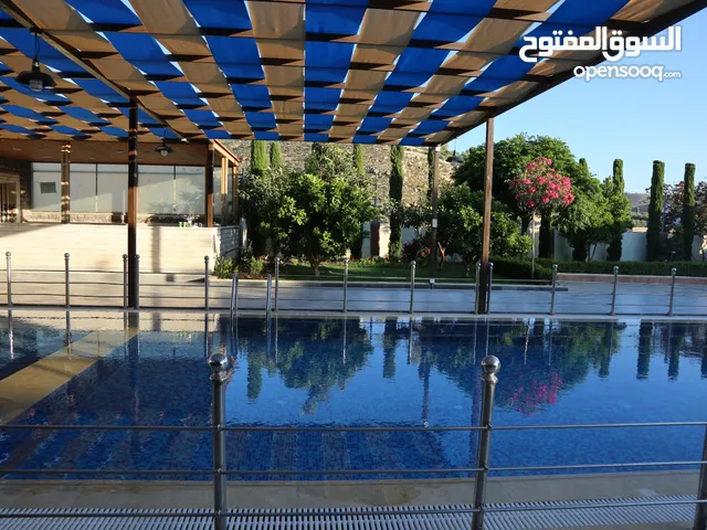 4 Bedrooms Chalet for Rent in Amman Naour