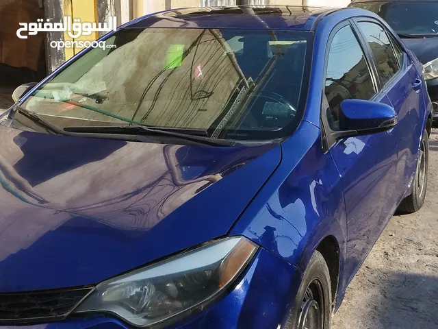 كورلا 2016 امريكي