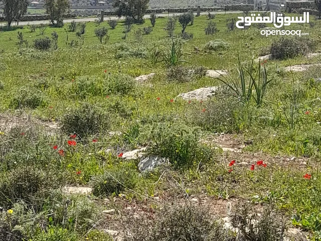 Farm Land for Sale in Zarqa Birayn