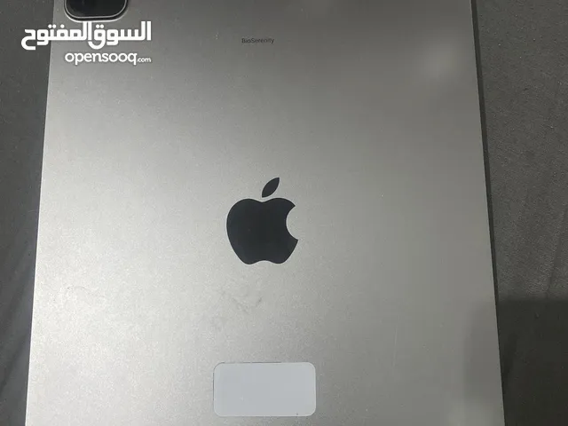 iPad Pro m1