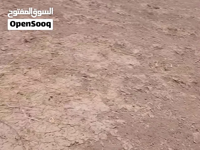 Farm Land for Sale in Khartoum Jabal Awliya