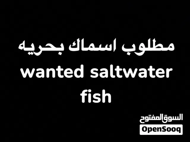 مطلوب اسماك بحريه wanted saltwater fish