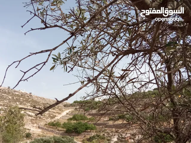 Mixed Use Land for Sale in Hebron Dura