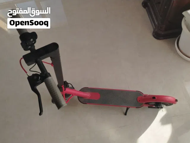 2025 اخرى اخرى