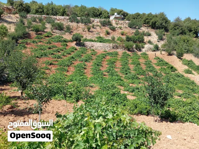 Mixed Use Land for Sale in Ajloun E'in Jana