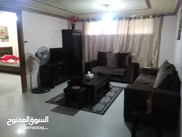50 m2 Studio Apartments for Rent in Ramallah and Al-Bireh Beitunia