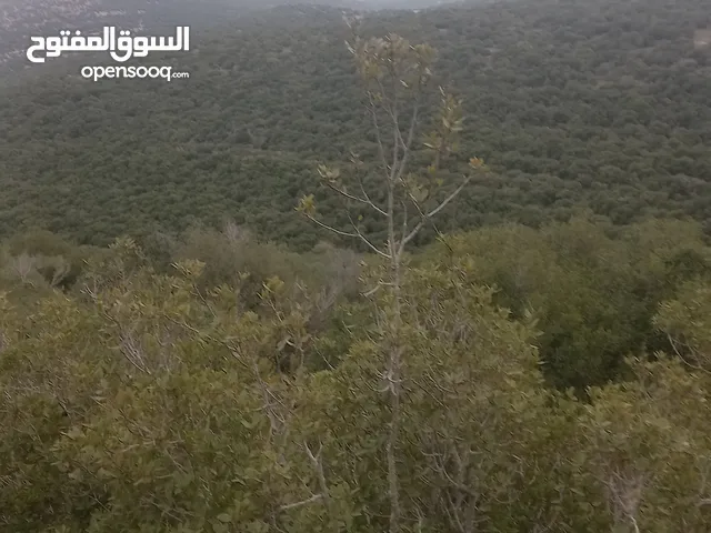 Commercial Land for Sale in Irbid Arhaba