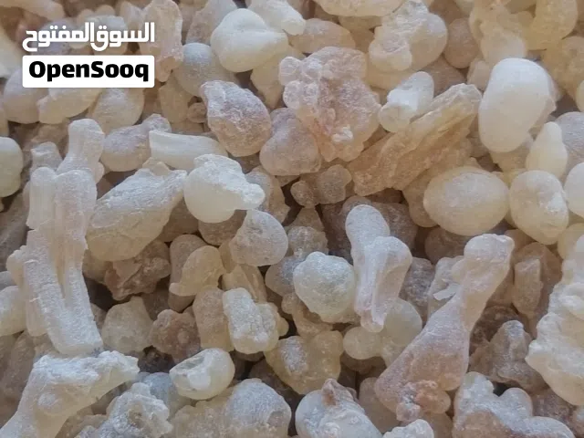 The magnificence of frankincense, Hojari