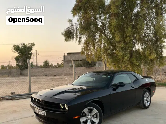 جالنجر sxt 2023