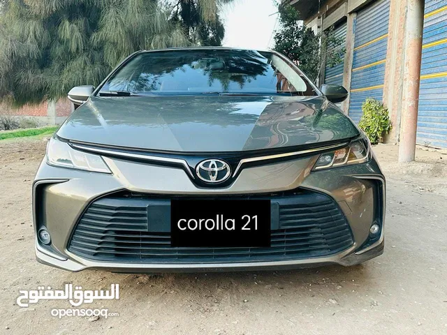 Toyota Corolla  in Zagazig