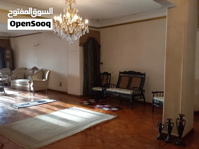 شقه للبيع لقطة ( غرفتين ريسبشن اربع قطع )في افخم شارع في المنيل متاح معاينة وفيديوهات