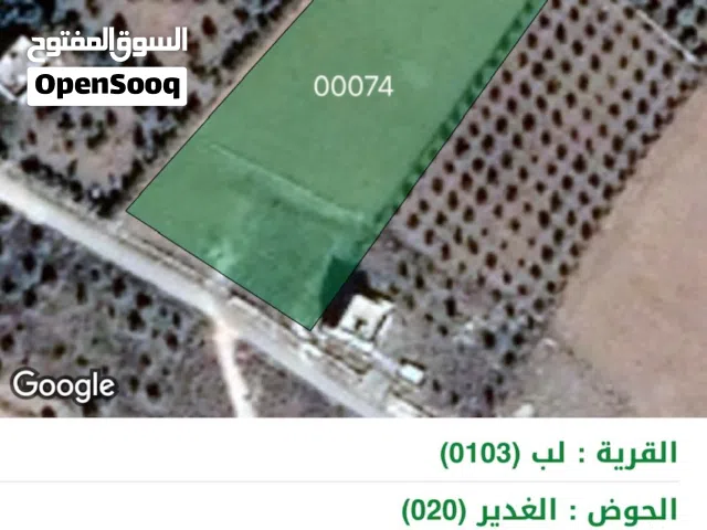 Farm Land for Sale in Madaba lob
