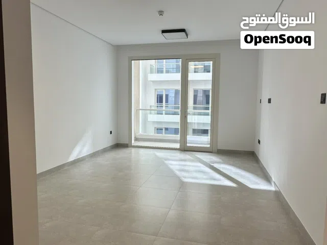Modern apartment in Muscat Hills
