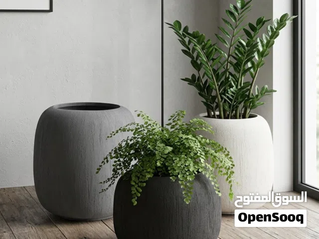 قصرية زرع فخمة لحمامات السباحة والكافيهات بألوان متعددة
