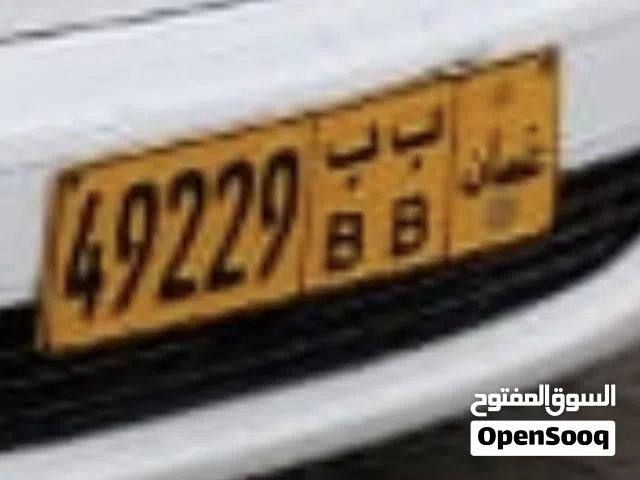 رقم مميز 49229 ب ب