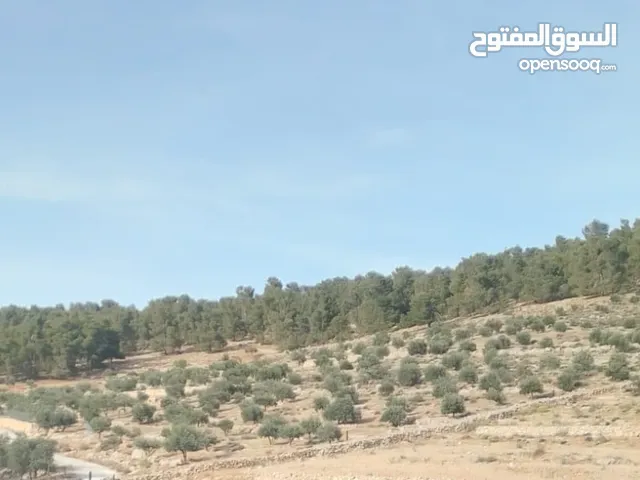 ارض ورثة للبيع بسعر مغري