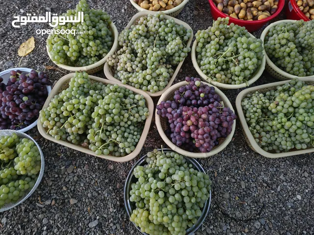 يوجد عنب ورطب