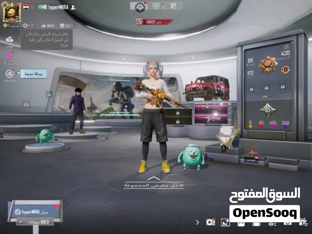 Pubg Accounts and Characters for Sale in Ismailia