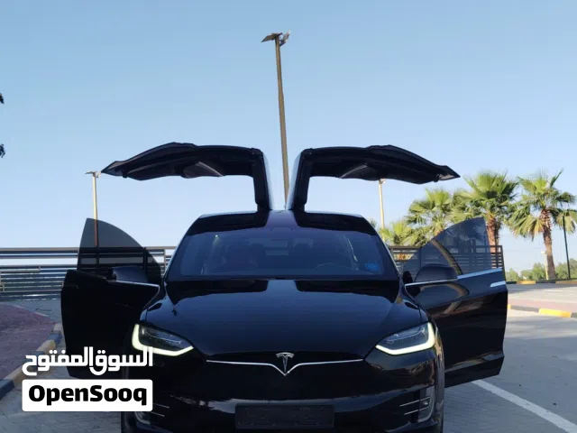 2017 Tesla Model X Long Range Plus