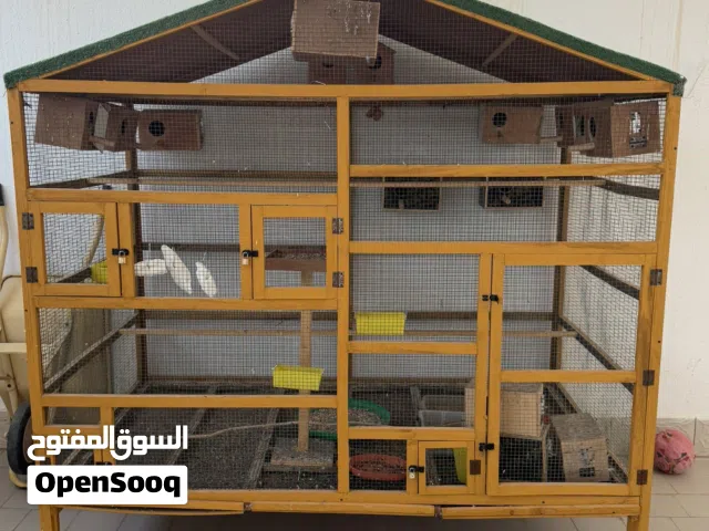 قفص طيور ببغاء روز 2 متر في 2 متر