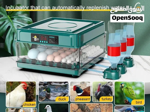 Chicken Incubator  Used