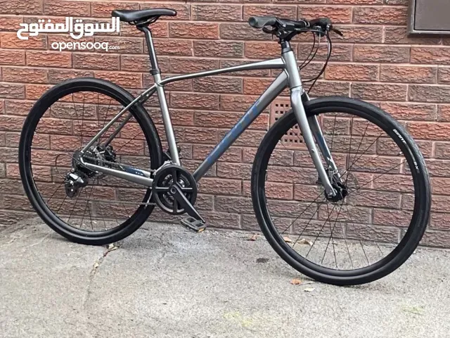 Giant Escape 2 city bike