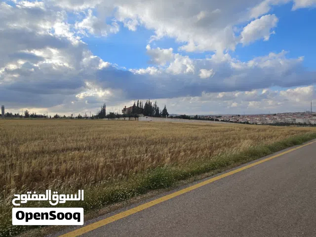 جوار الاندلسية وبجانب فلل فكتوريا تماما بسعر 65000 دينار سكن ب مساحة 680 م2