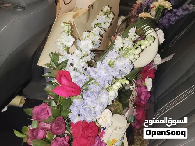 توصيل_فوري_جميع_الأمارات