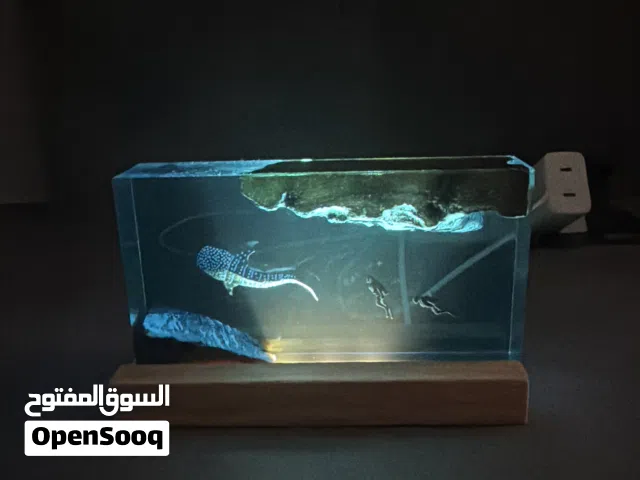 shark with scuba divers